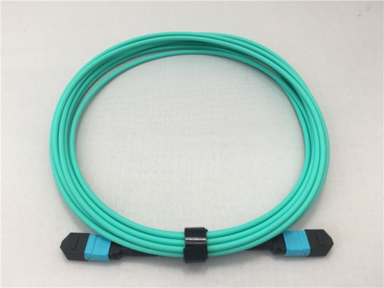 1m MPO Female to MPO Female OM3 Multimode Trunk Cable