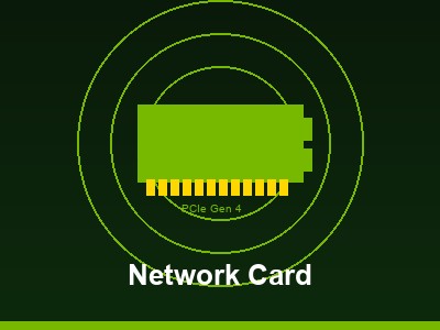 Network Card